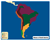 Biomes Puzzle Map of South America Control Chart