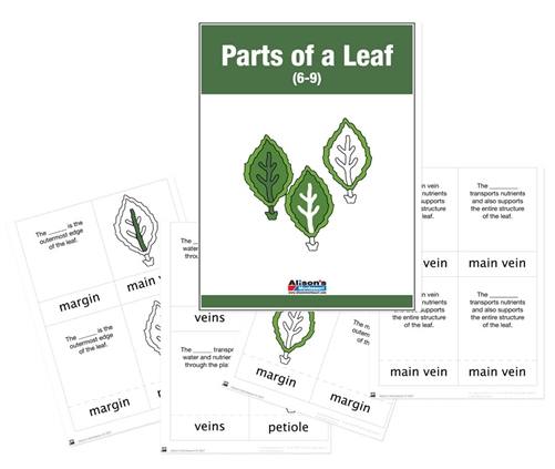 Nomenclature Cards