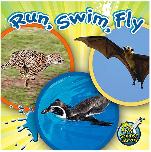 swim the fly
