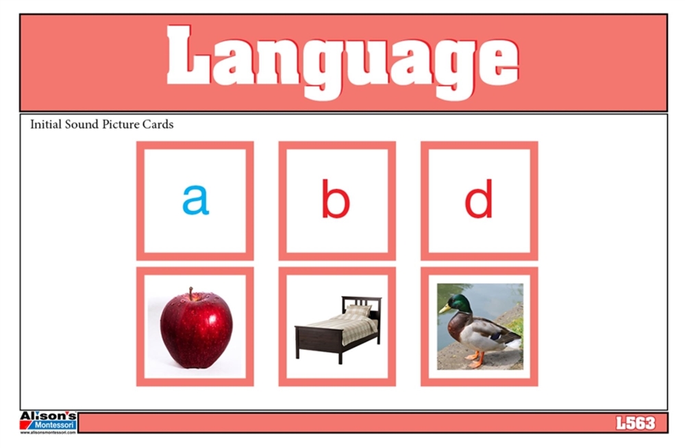 montessori-materials-initial-sound-picture-cards