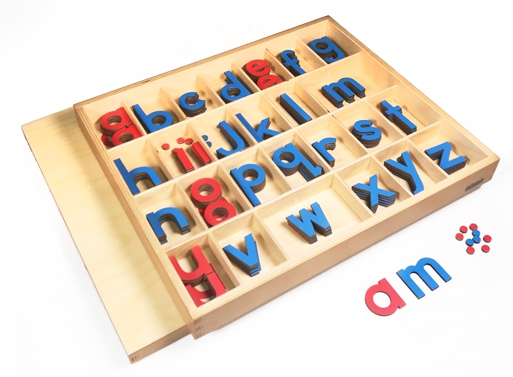 Lowercase Small Movable Alphabets Blue With Red Vowels Print Premium 