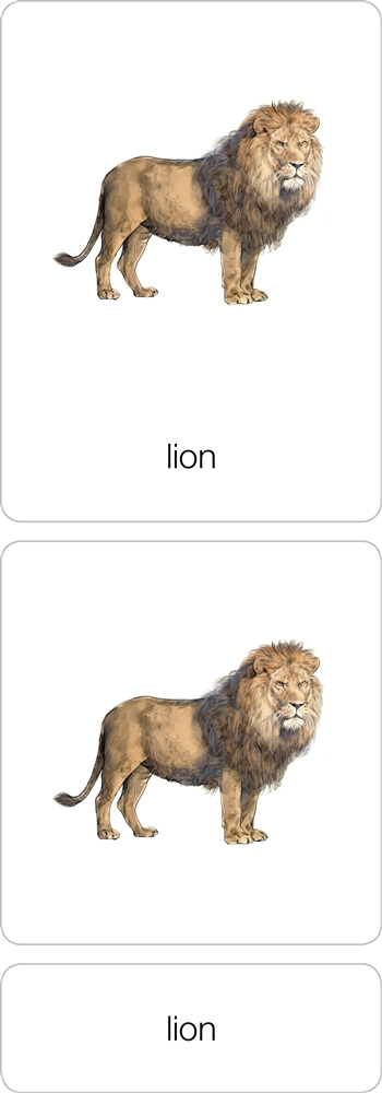 Montessori Materials: Parts of a Lion (Printed)