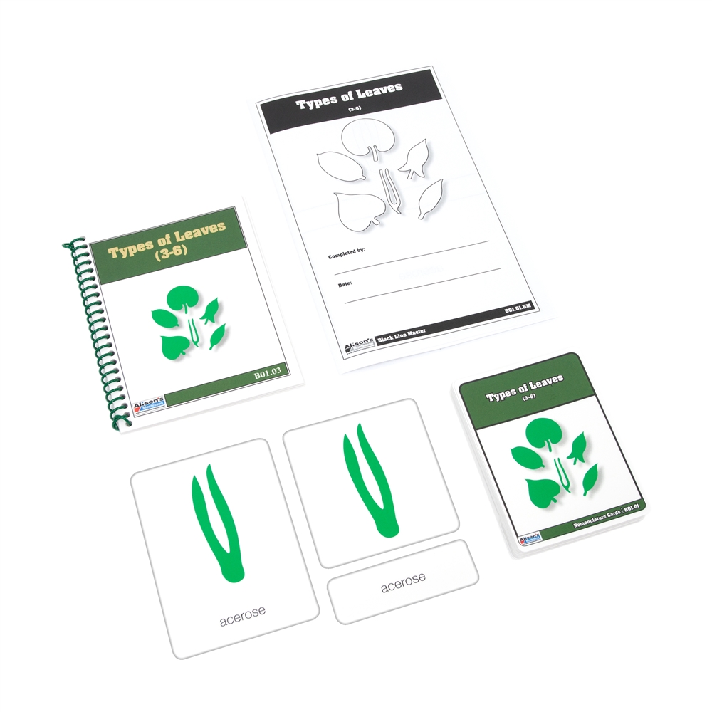  Types of Leaves Nomenclature Cards