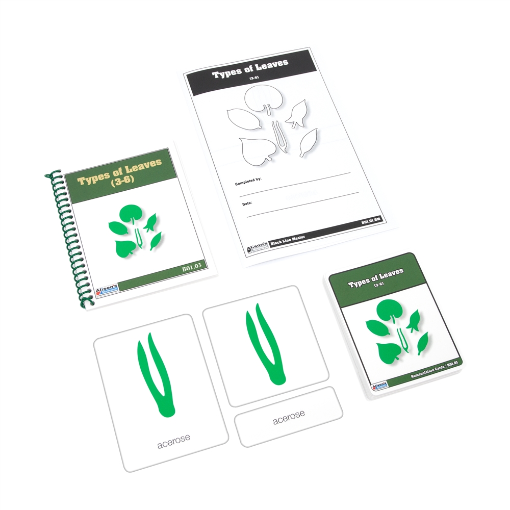 Types of Leaves Nomenclature Card (Printed)