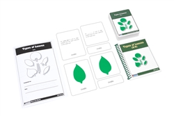 Types of Leaves Nomenclature Cards (Printed) (6-9)