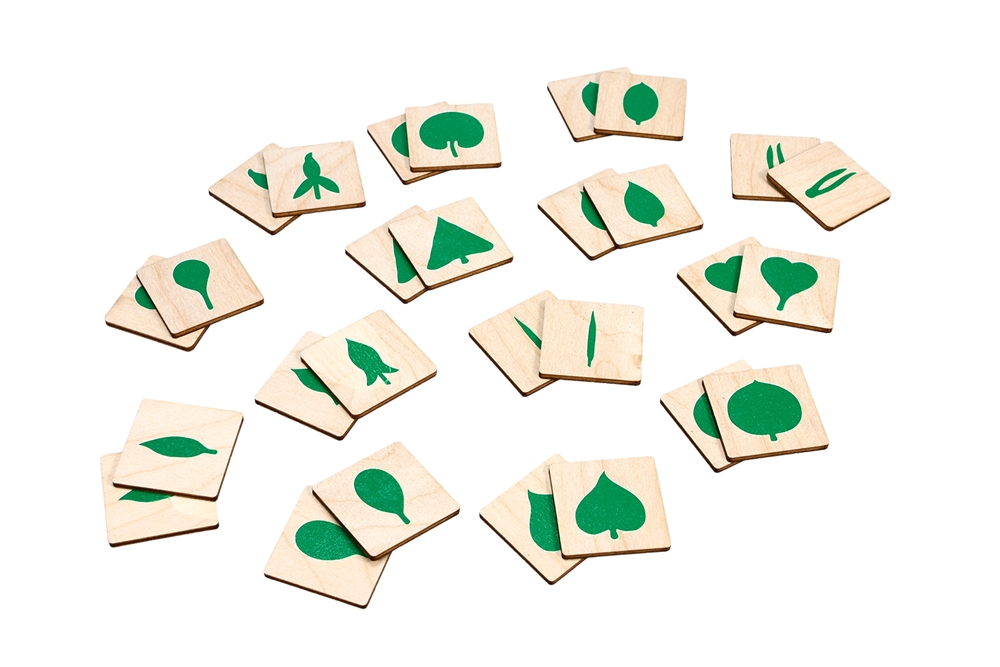  Wooden Memory Game: Types of Leaves