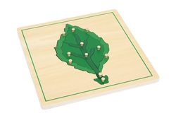 Parts of a Leaf Puzzle