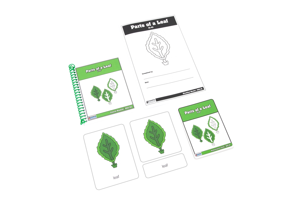 Parts of a Leaf Nomenclature Cards 3-6 printed