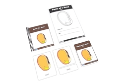 Parts of a Seed Nomenclature Cards 3-6 (Printed)