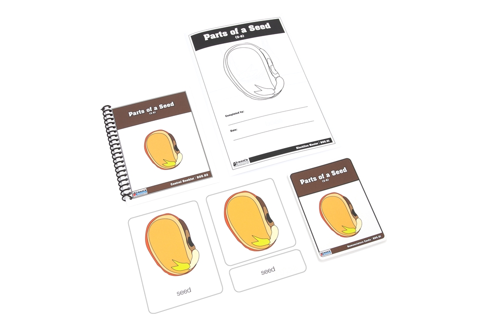 Parts of a Seed Nomenclature Cards 3-6 (Printed)
