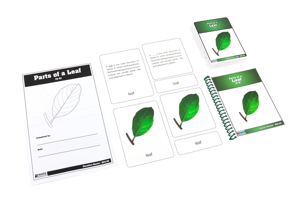 Montessori Materials: Parts of a Leaf Nomenclature Cards (Printed) (6-9)