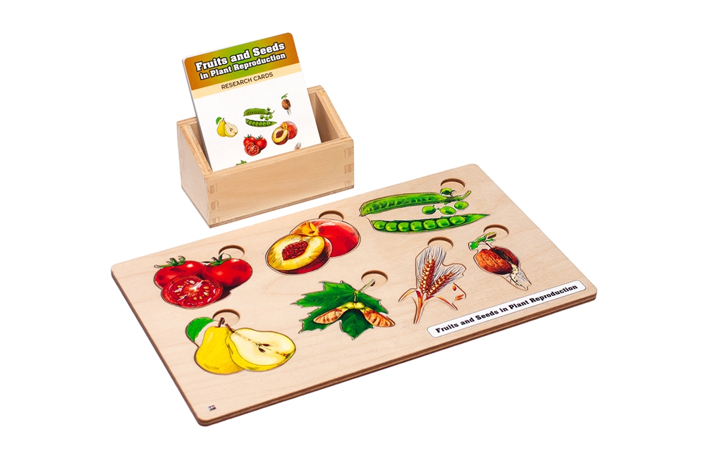 Fruits & Seeds in Plants Reproduction Set (Puzzle + Research Cards)