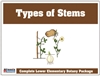 Parts of the Stem Definition Booklet