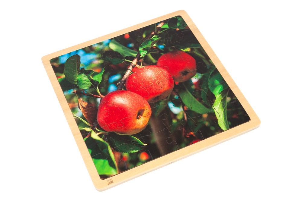 Apple- Jigsaw Puzzle 