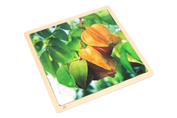 Star Fruit - Jigsaw Puzzle