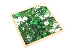 Papaya - Jigsaw Puzzle