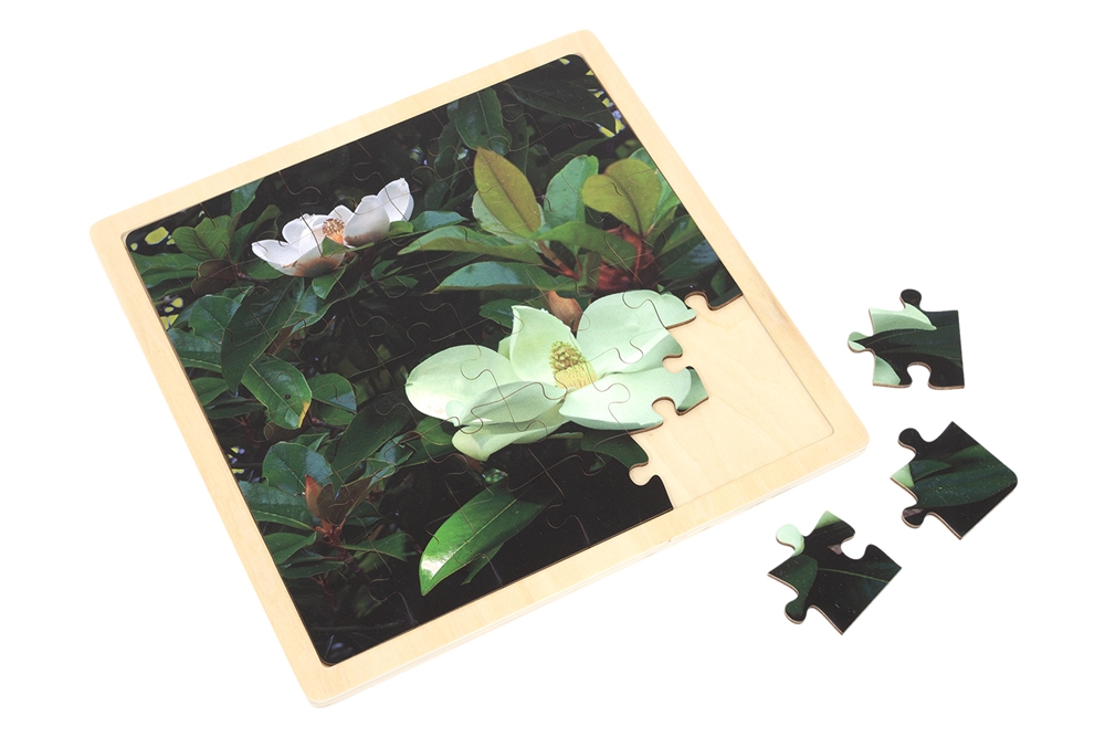  Magnolia - Jigsaw Puzzle