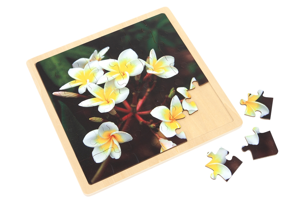  Plumeria - Jigsaw Puzzle