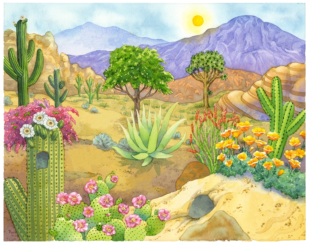 Montessori Materials: Biome Charts - Subtropical Desert Biome