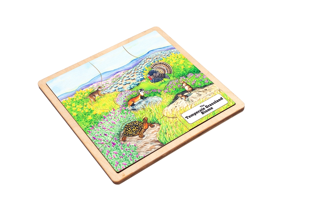 Temperate Grassland Biome Puzzle 