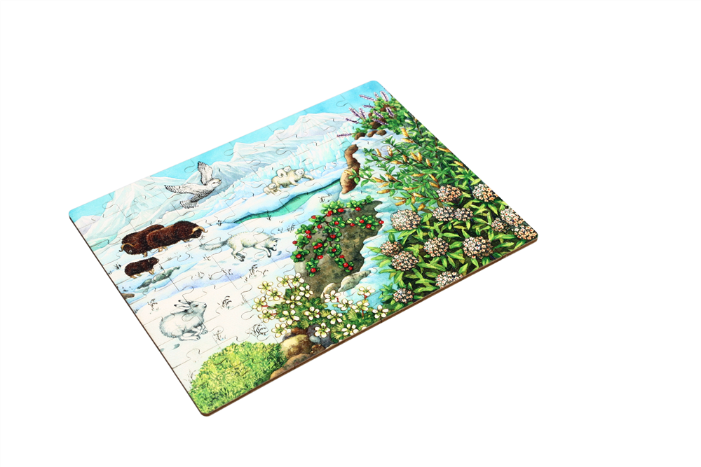 Polar Biome - Jigsaw Puzzle 