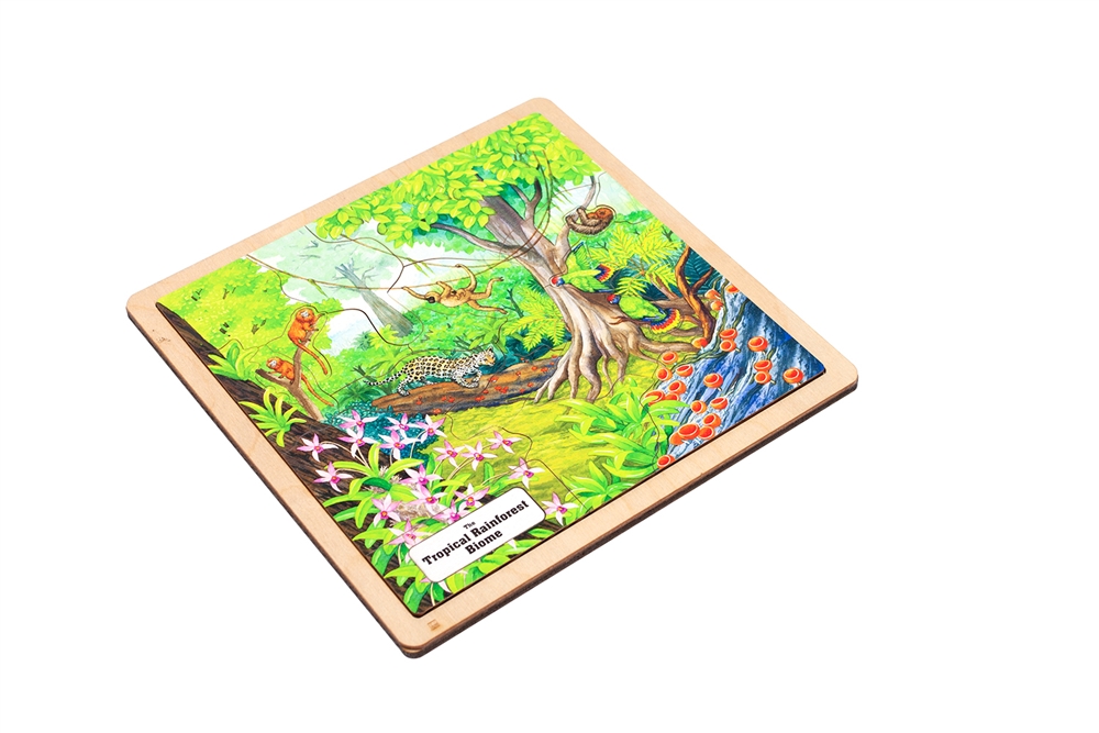  Tropical Rainforest Biome Puzzle