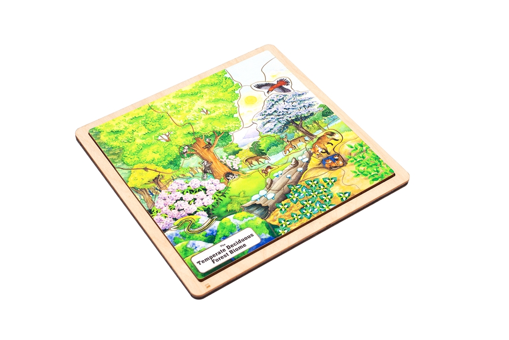 Temperate Deciduous Forest Biome Puzzle 