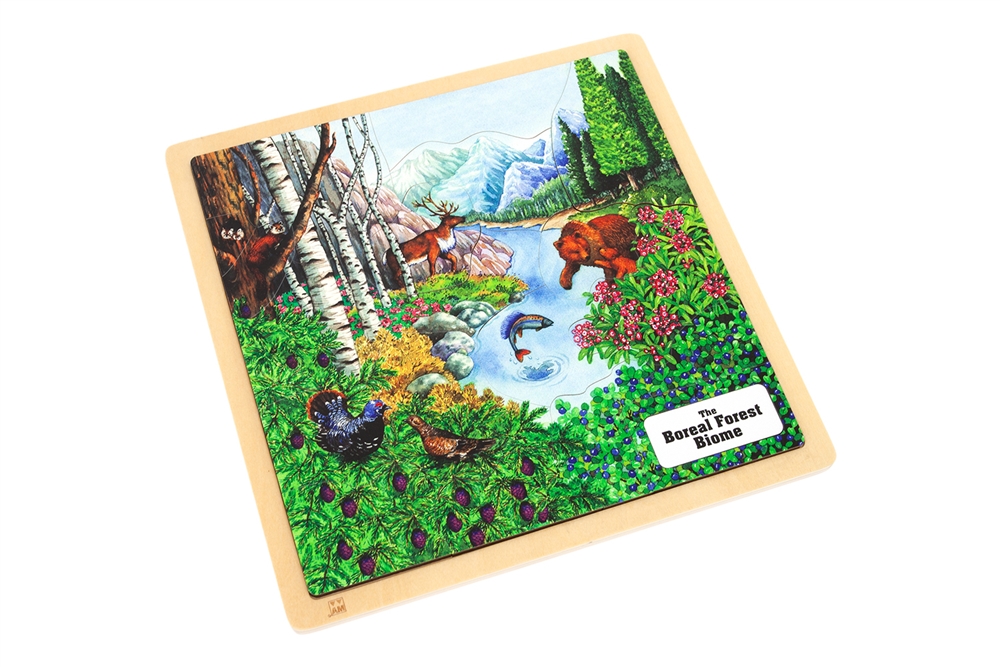 Boreal Forest Biome Puzzle 