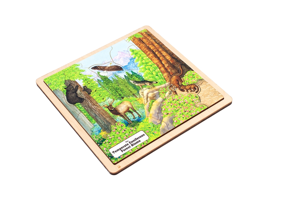 Temperate Coniferous Forest Biome Puzzle 