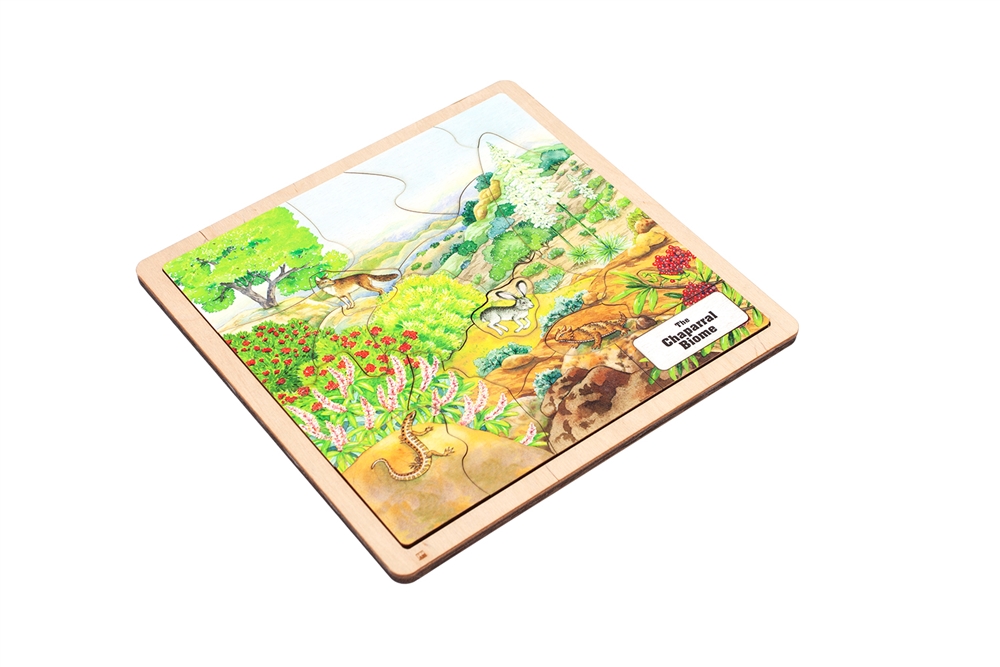 Chaparral Biome Puzzle 