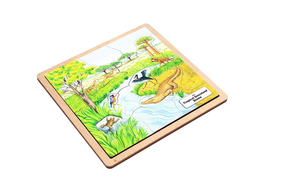 Tropical Grassland Biome Puzzle 