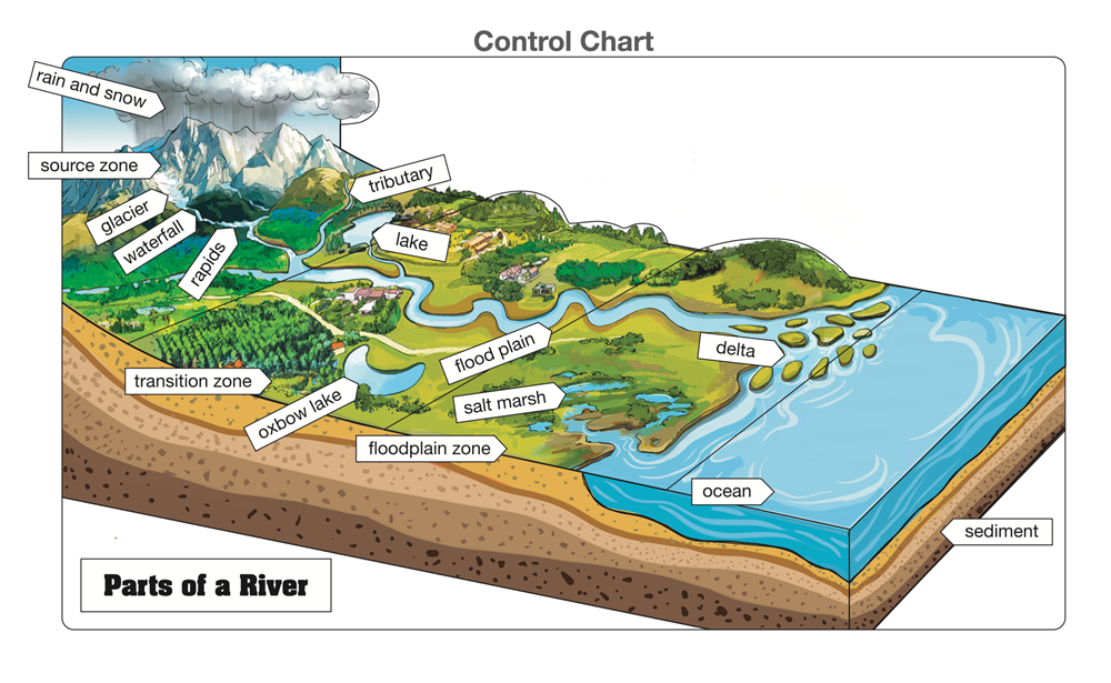 Montessori Materials: Parts Of River Puzzle