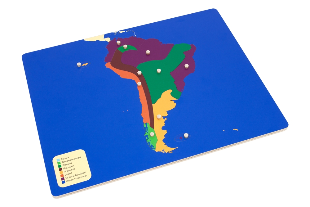 Biomes of South America Puzzle Map 