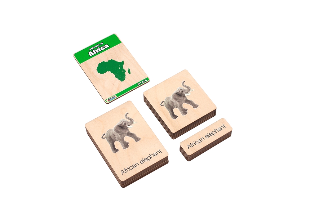  Animals of Africa Wooden Nomenclature Cards (3-6) (Printed)