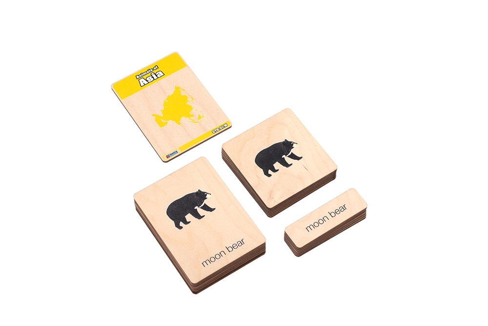 Animals of Asia Wooden Nomenclature Cards (3-6) (Printed) 