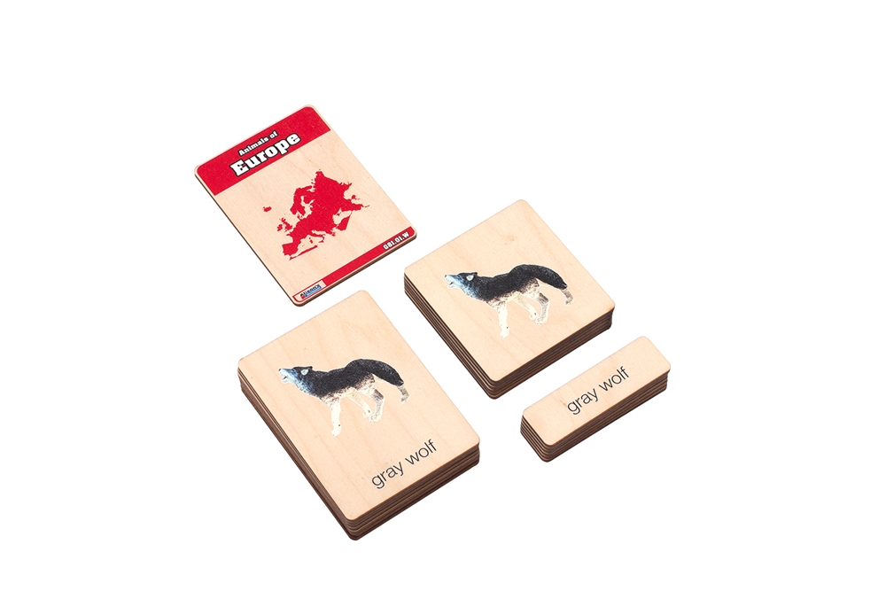  Animals of Europe Wooden Nomenclature Cards (3-6) (Printed)