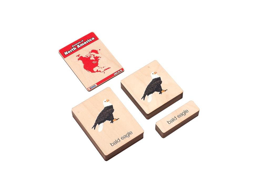 Animals of North America Wooden Nomenclature Cards (3-6) (Printed) 