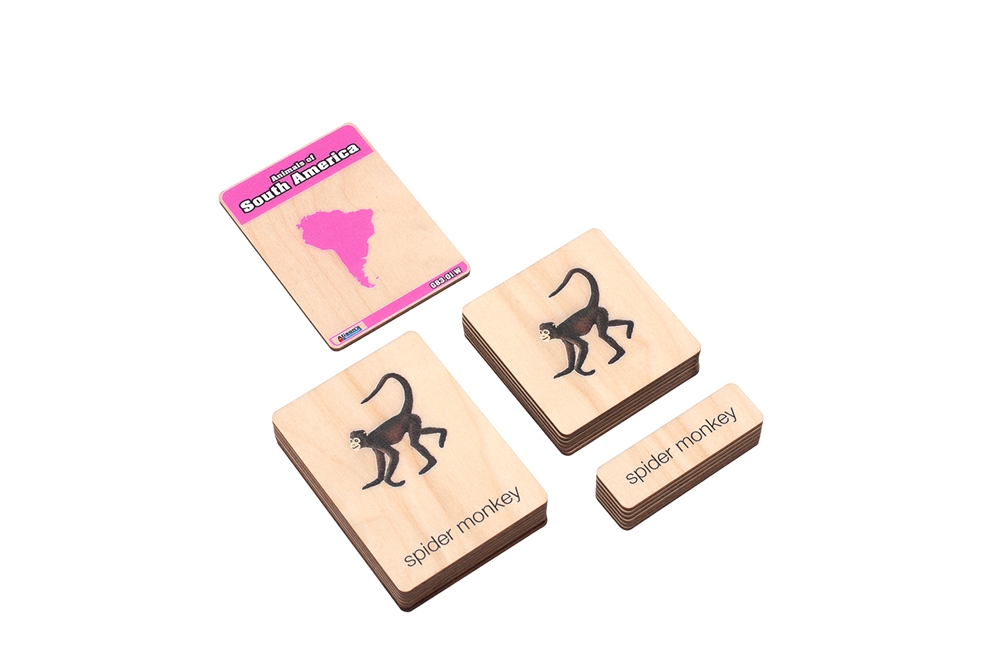  Animals of South America Wooden Nomenclature Cards (3-6) (Printed)