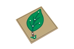 Parts of a Leaf Puzzle (Premium Quality)