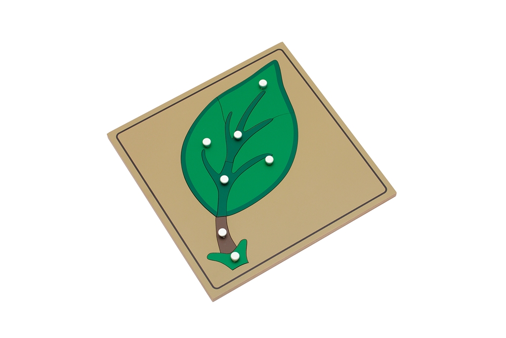 Parts of a Leaf Puzzle with Nomenclature Cards (3-6) (Premium Quality)