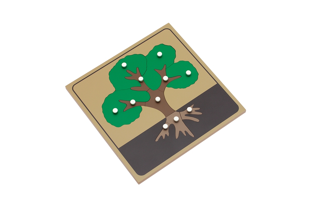 Parts of a Tree Puzzle with Nomenclature Cards (3-6) (Premium Quality)