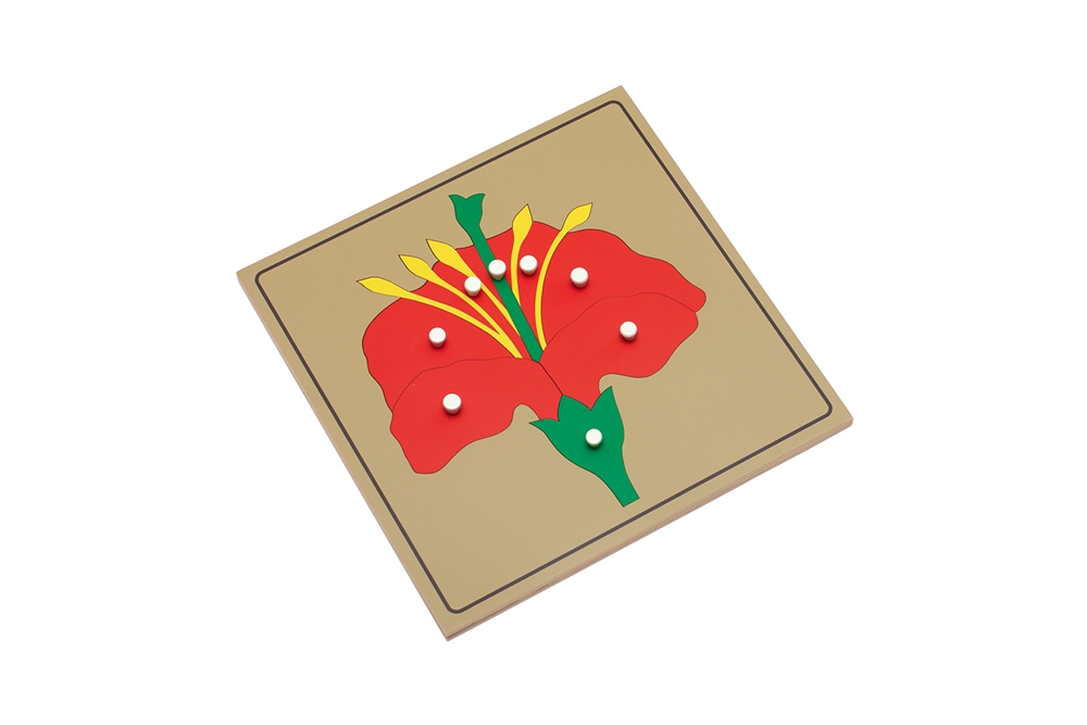 Parts of a Flower Puzzle with Nomenclature Cards (3-6) (Premium Quality)