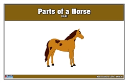 Parts of a Horse Puzzle Nomenclature Cards (3-6) (Premium Quality)