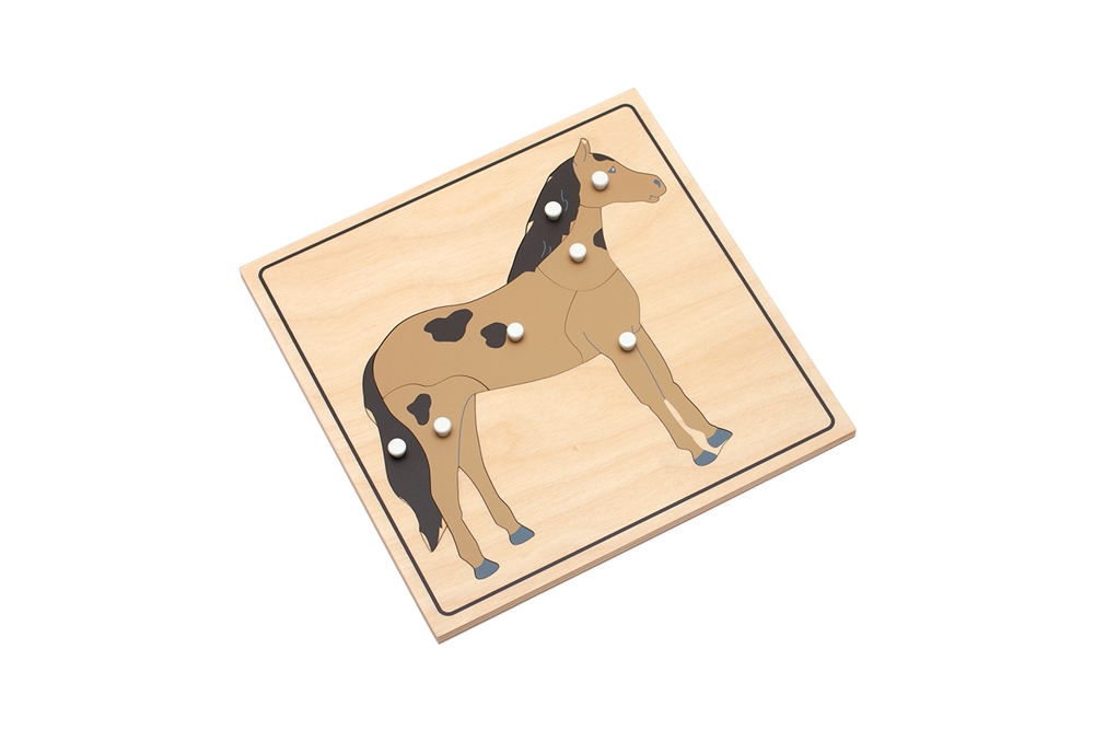 Parts of a Horse Puzzle with Nomenclature Cards (3-6) (Premium Quality)