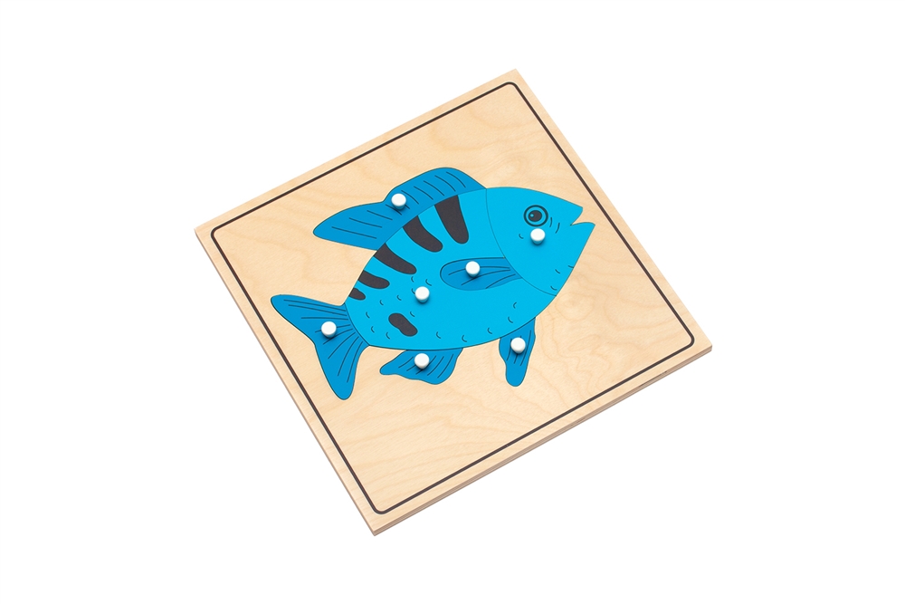 Parts of a Fish Puzzle - Complete Set (Premium Quality)