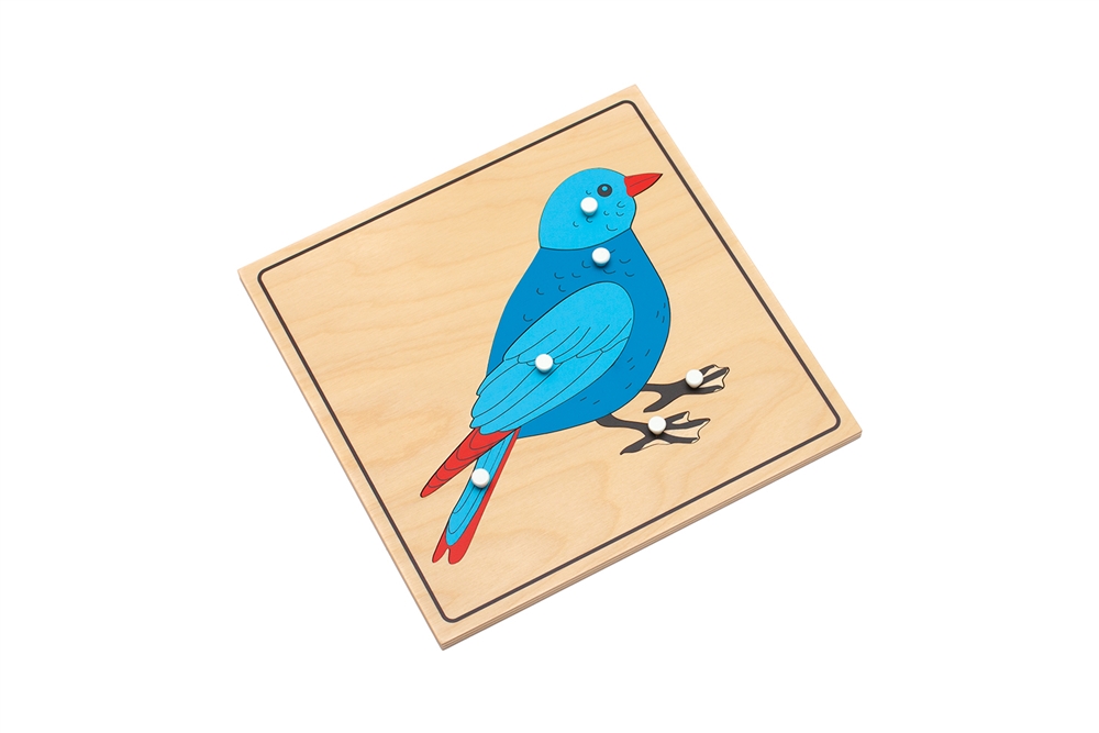 Parts of a Bird Puzzle with Nomenclature Cards (3-6) (Premium Quality)