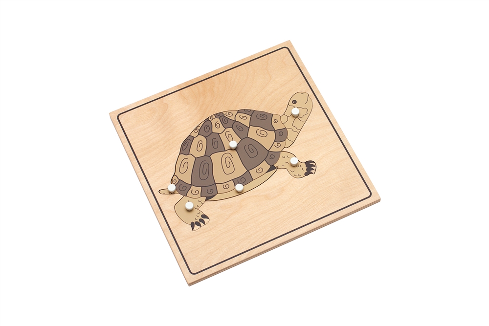 Parts of a Tortoise Puzzle with Nomenclature Cards (3-6) (Premium Quality)