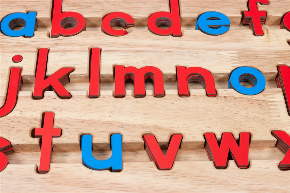 Montessori Materials: Small Movable Alphabets: Red With Blue Vowels ...