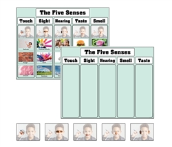 The Five Senses Charts with Cards