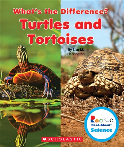 Montessori Materials - What'S The Difference Turtles And Tortoises